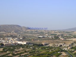 Yacimiento  Sisaya 2007